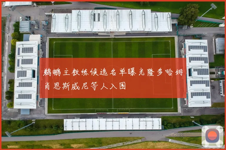 鹈鹕主教练候选名单曝光隆多哈姆肖恩斯威尼等人入围